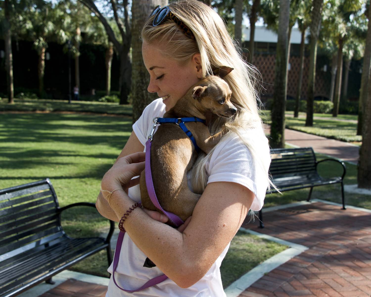 Sharing Dorms With Pets PUPN