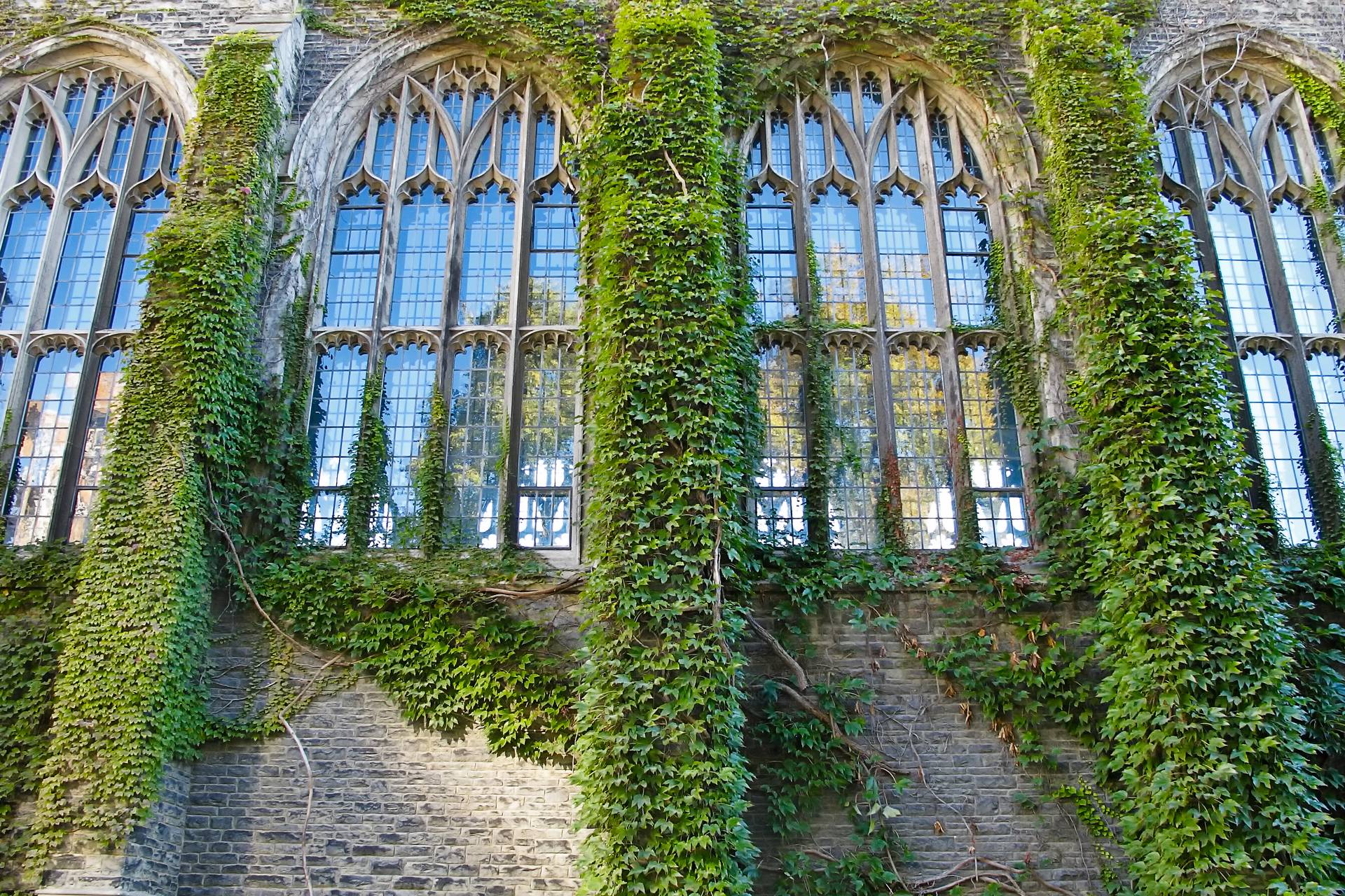 First Impressions: Windows and Doors That Define a Campus – PUPN